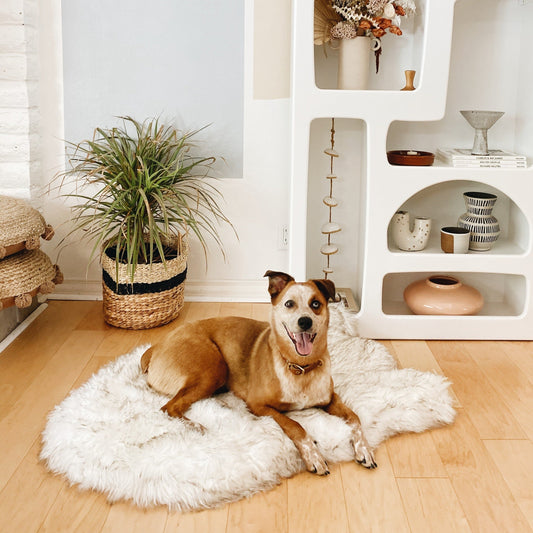 PupRug™ Faux Fur Orthopedic Dog Bed - Curve White with Brown Accents