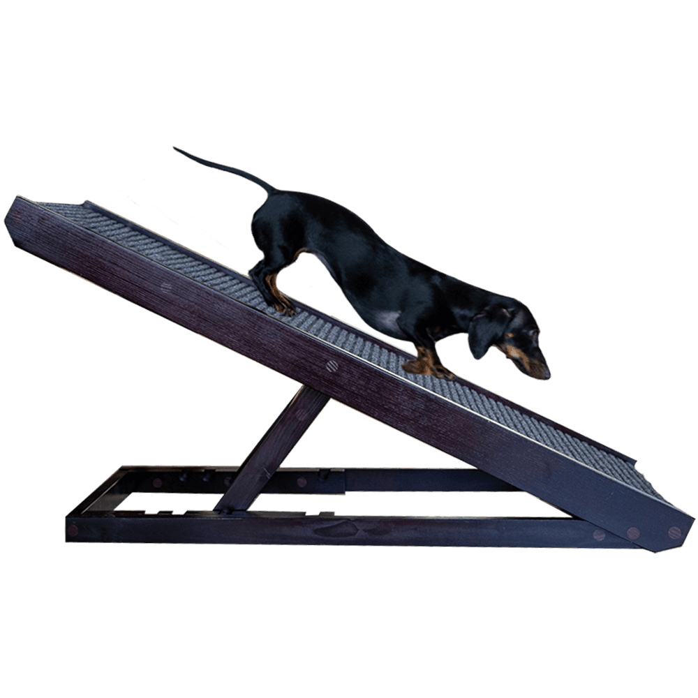 DachRamp™ - The #1 Vet-Recommended Way to Protect Your Dachshund's Back & Joints