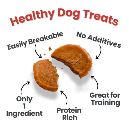 Puppy Packs 'N Snacks Dog Treat Starter