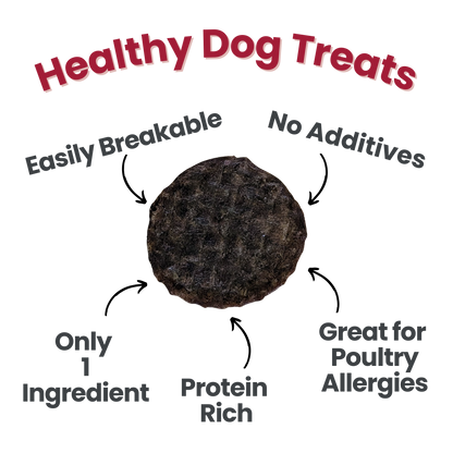 Beef Chips for Dogs