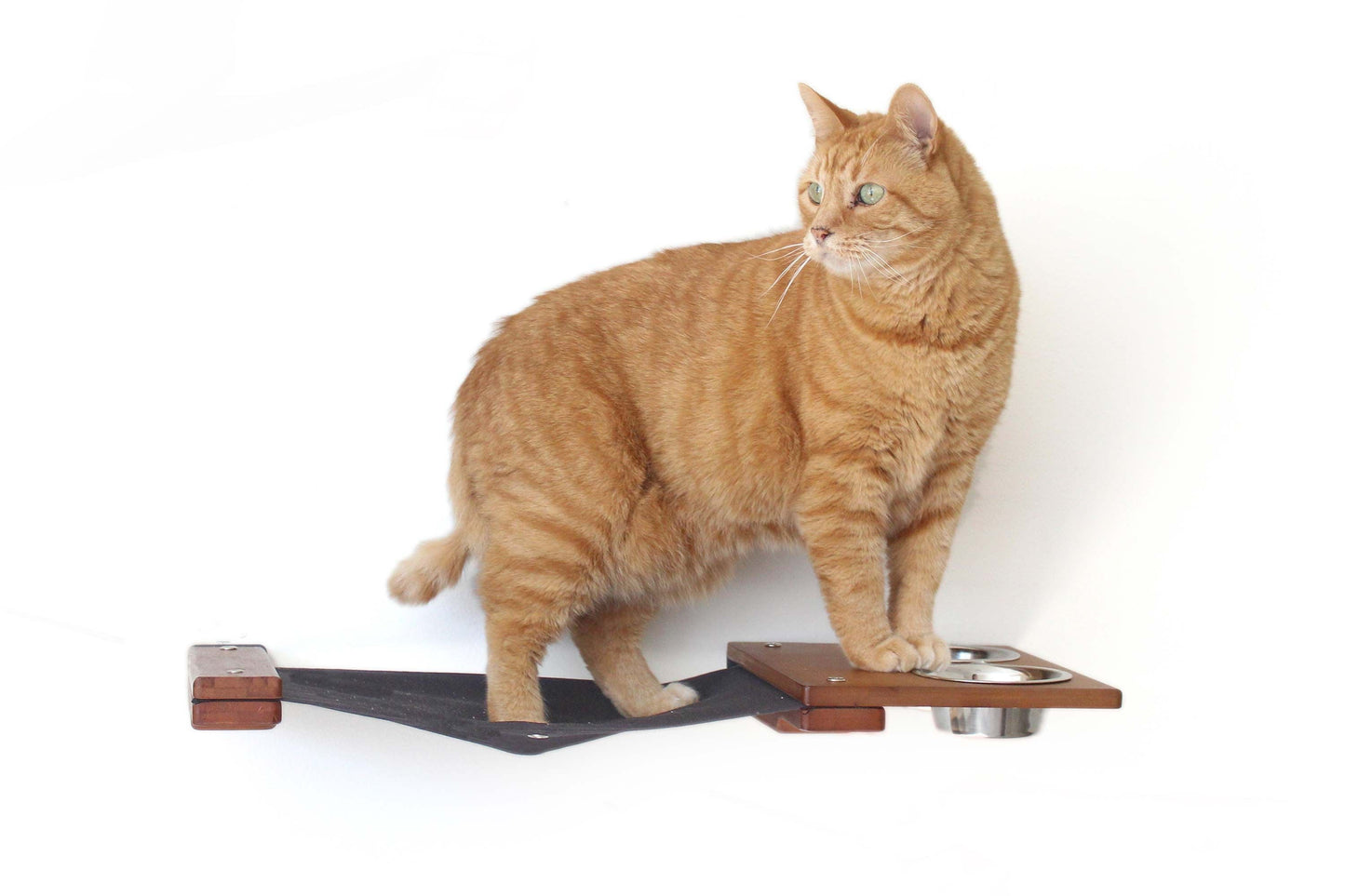 Dog Proof Cat Feeder - Wall-Mounted - Raised