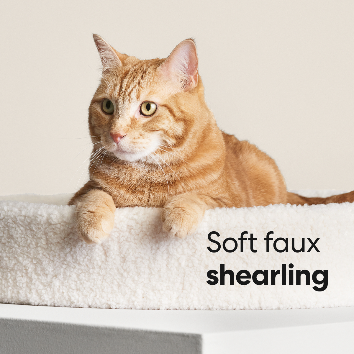 Kip Cat Bed