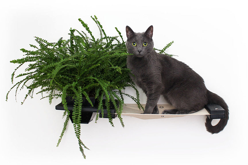 Cat Hammock Wall with Planter