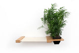 Natural Bamboo/Natural Canvas