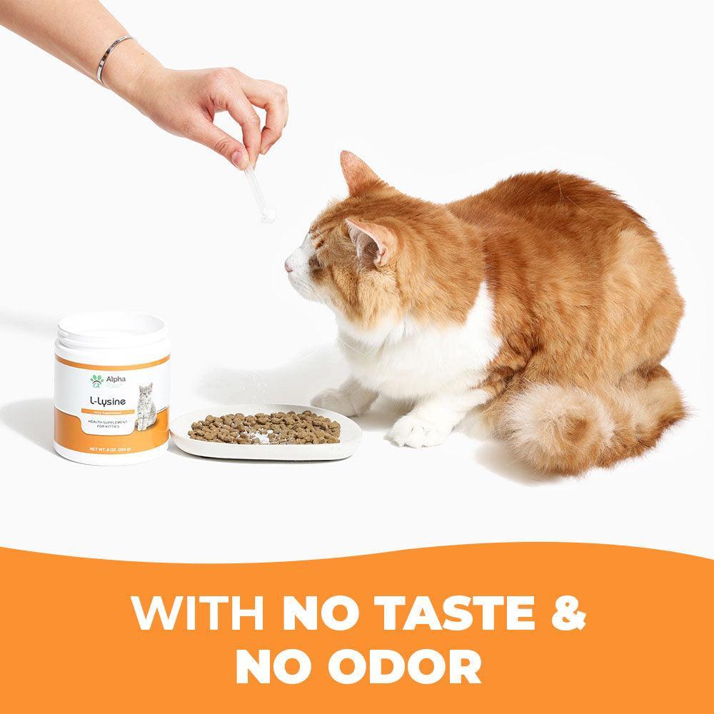 Cat L-Lysine