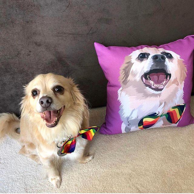 Custom Pet Couch Pillow with Cover