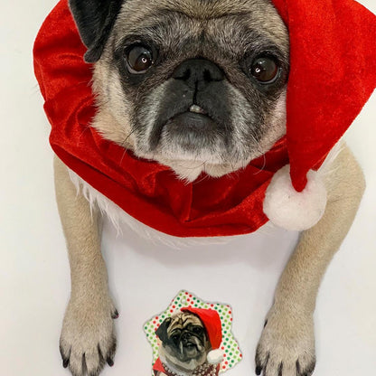 Custom Pet Ornament