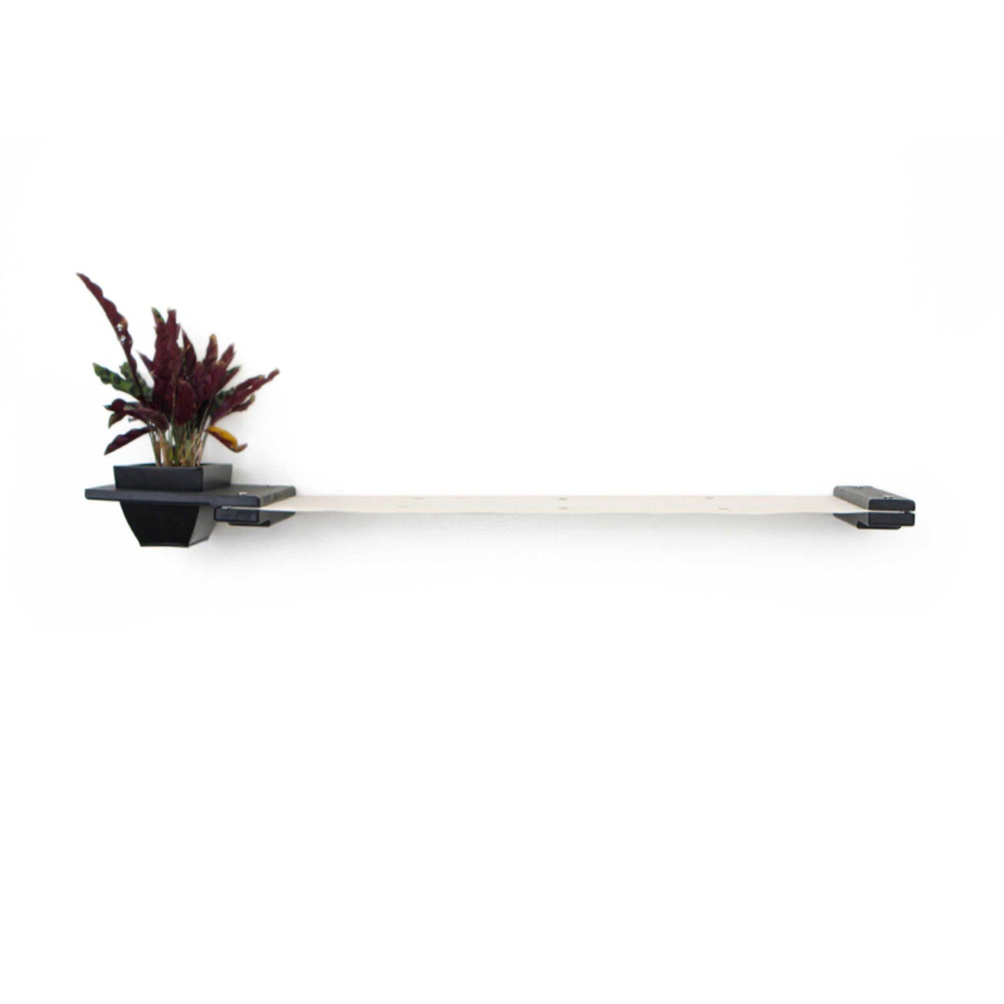 Cat Hammock Wall with Planter