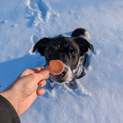Holiday Chips for Dogs